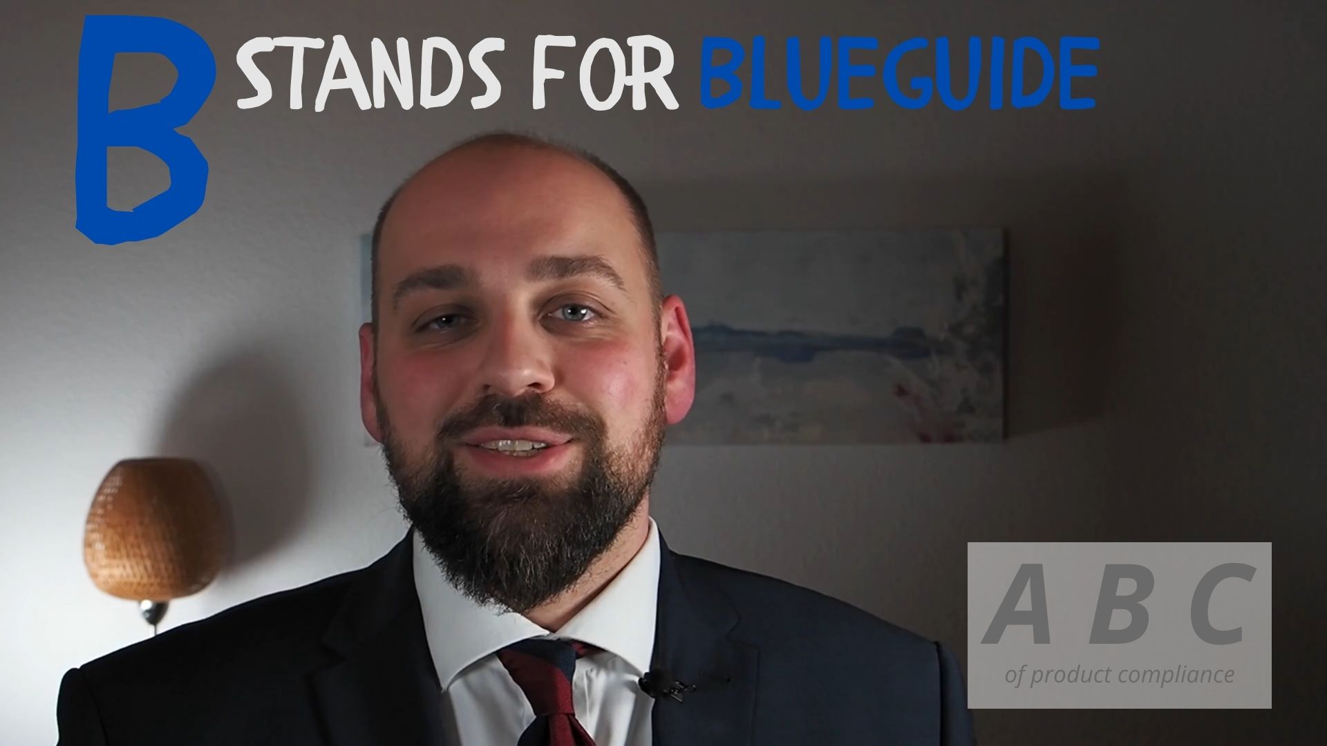 Read more about the article The EU Blue Guide